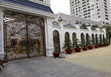 Cửa cổng TCC_015